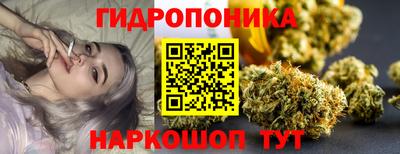 ПСИЛОЦИБИНОВЫЕ ГРИБЫ Можга
