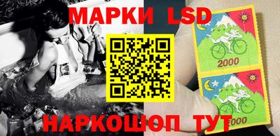 ПСИЛОЦИБИНОВЫЕ ГРИБЫ Можга
