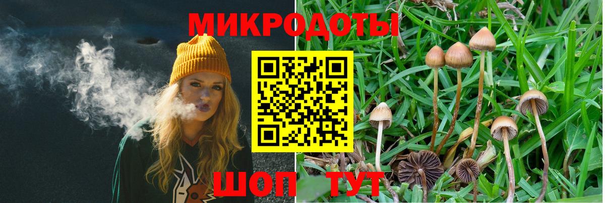 Среднеуральск  Псилоцибиновые грибы прущие грибы  Вход с VPN 